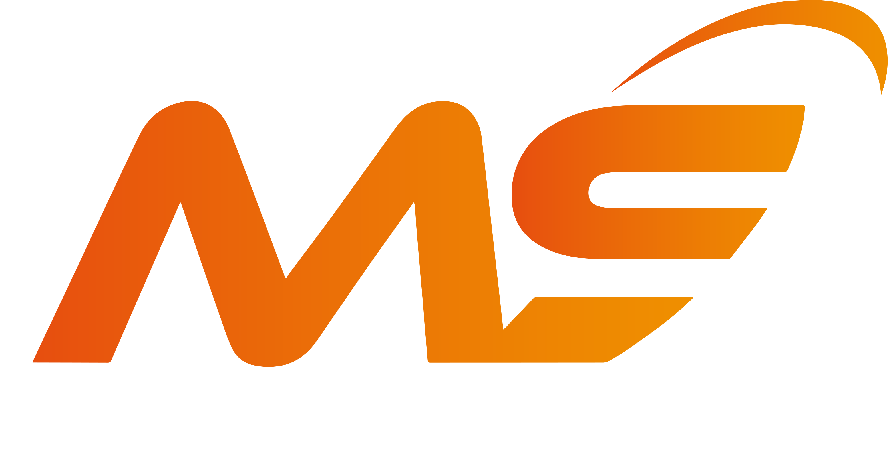 MS DEVELOP